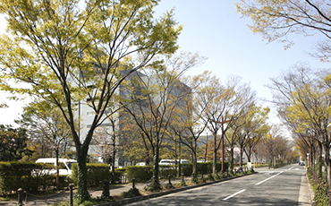 緑豊かな文教地域